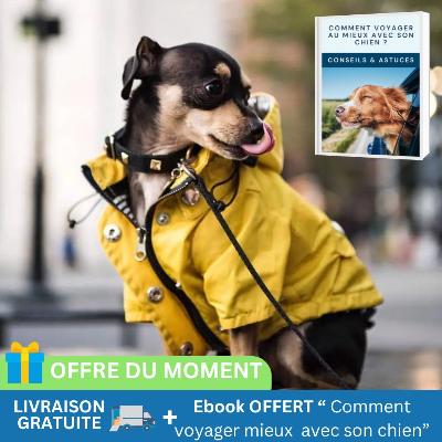 impermeable-chien-petit