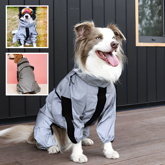 IMPERMEABLE CHIEN | TexOscar™