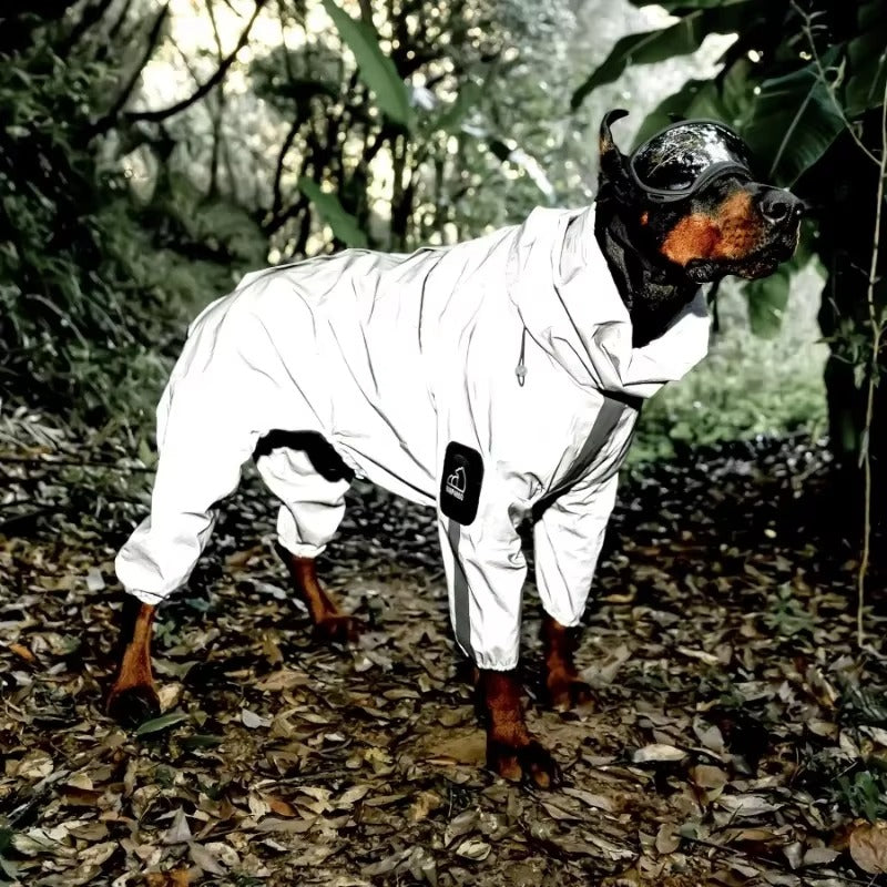 impermeable-chien-reflechissant-texoscar