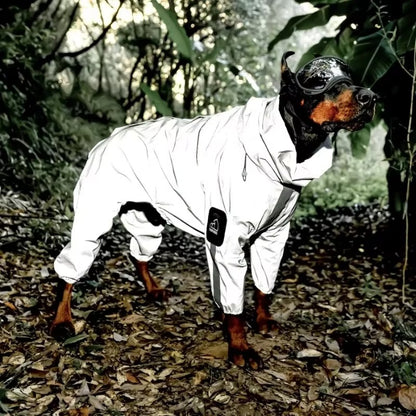 impermeable-chien-reflechissant-texoscar