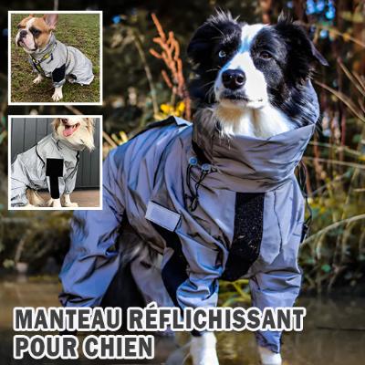 impermeable-chien-reflechissant