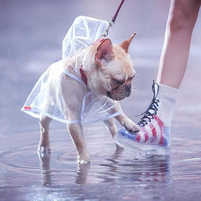 impermeable-pour-chien-blanc-flacprotect