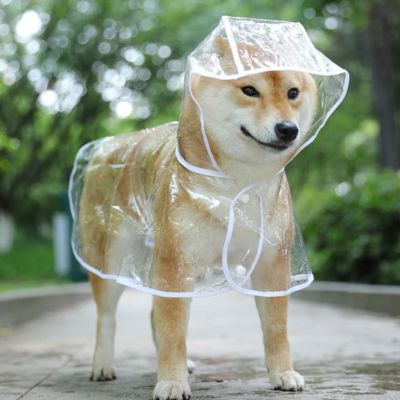 impermeable-pour-chien-blanc