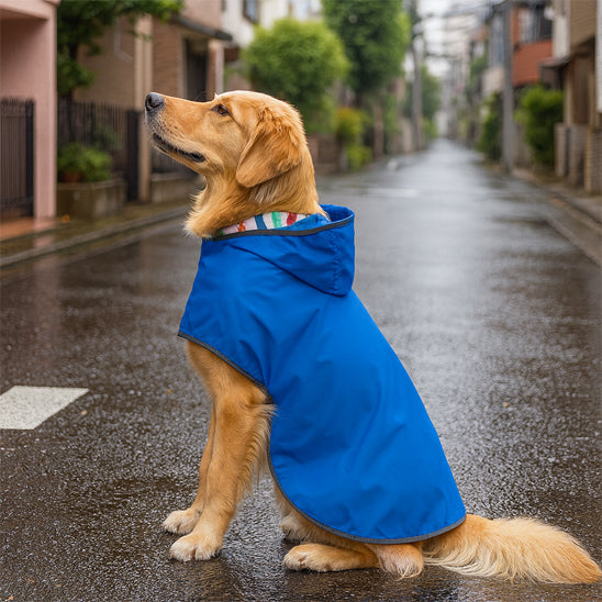 impermeable-pour-chien-confortable-pattejoy