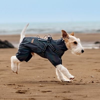 Imperméable pour chien​ et chien qui cours plage