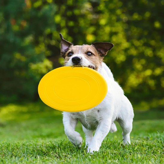 Jouet chien FetchFly disque jaune robuste et léger