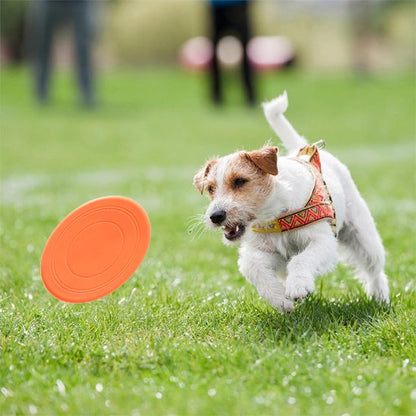 Jouet chien FetchFly disque orange aérodynamique