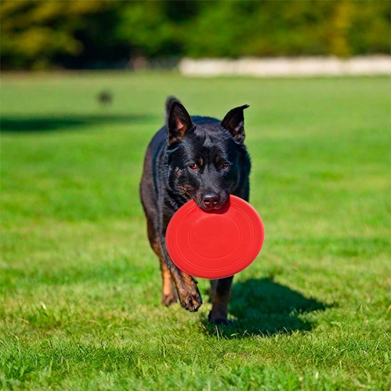 Jouet chien FetchFly disque rouge silicone 