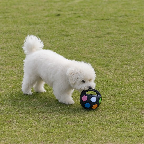 Jouet chien FootPet avec bichon jeu parc