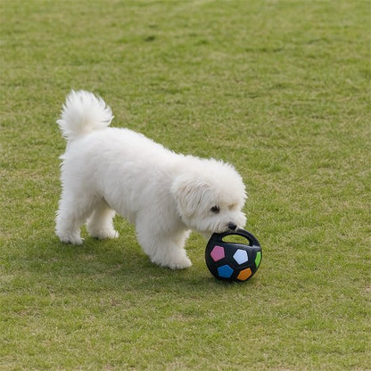 Jouet chien FootPet avec bichon jeu parc