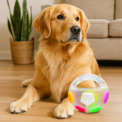 Jouet chien FootPet avec chien golden