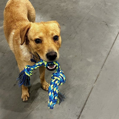 Jouet chien indestructible UltraCorde bleu jeu labrador