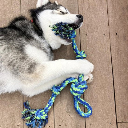 Jouet chien indestructible UltraCorde bleue husky