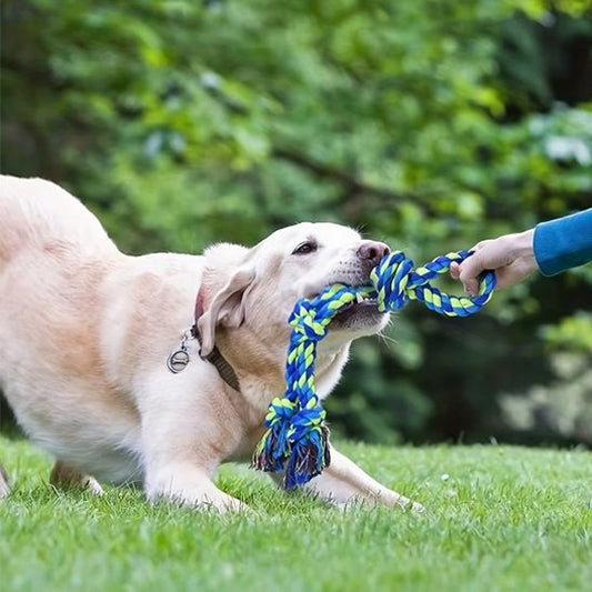 Jouet chien indestructible UltraCorde bleue labrador