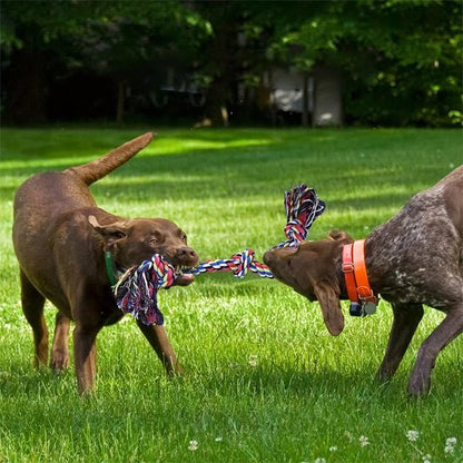 Jouet chien indestructible UltraCorde multicolore traction chiens