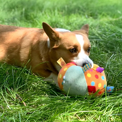 Jouet chien WoofBounce coloris multicolores