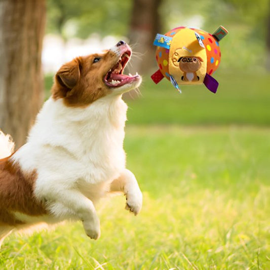 Jouet chien WoofBounce entrainement jeu