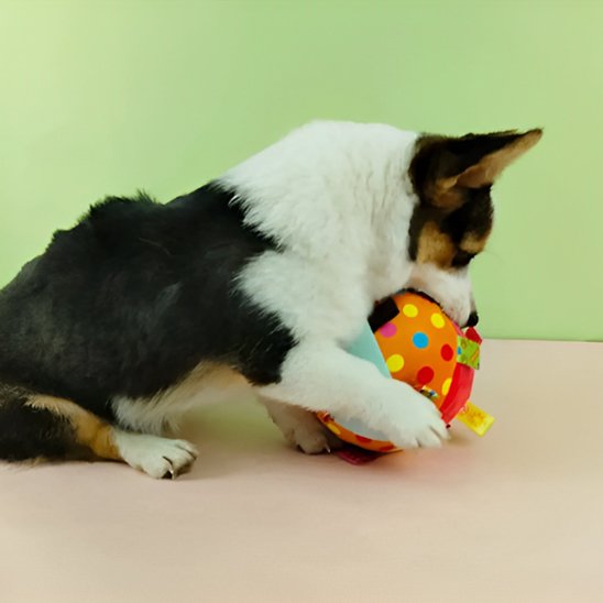 Jouet chien WoofBounce matérieux souple