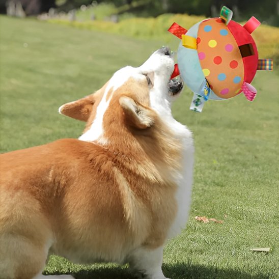 Jouet chien WoofBounce résistant
