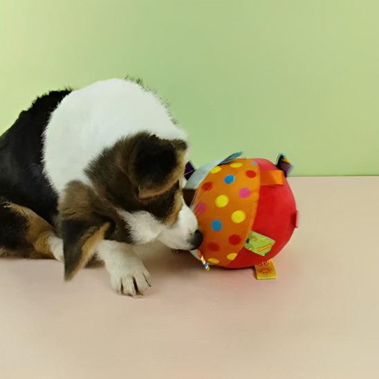 Jouet chien WoofBounce rubant et étiquette