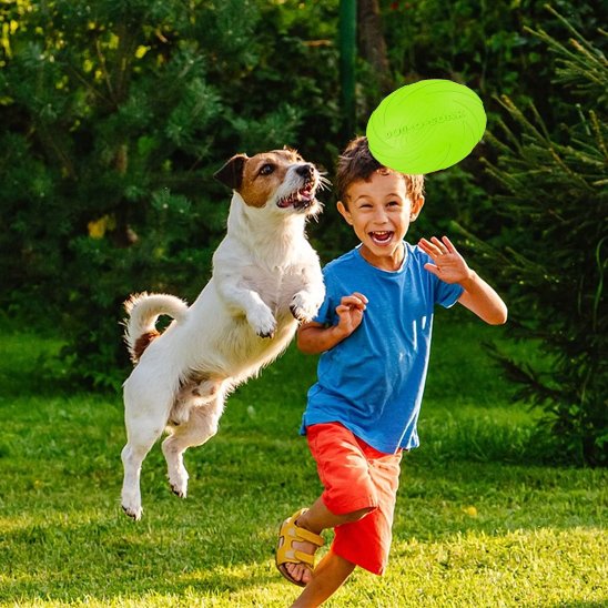 Jouet pour chien disque volant jeu avec garçon PupDisk