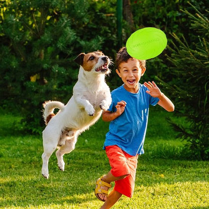 Jouet pour chien disque volant jeu avec garçon PupDisk