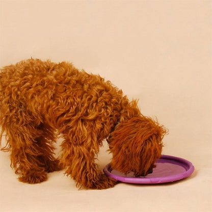 Jouet pour chien disque volant violet PupDisk