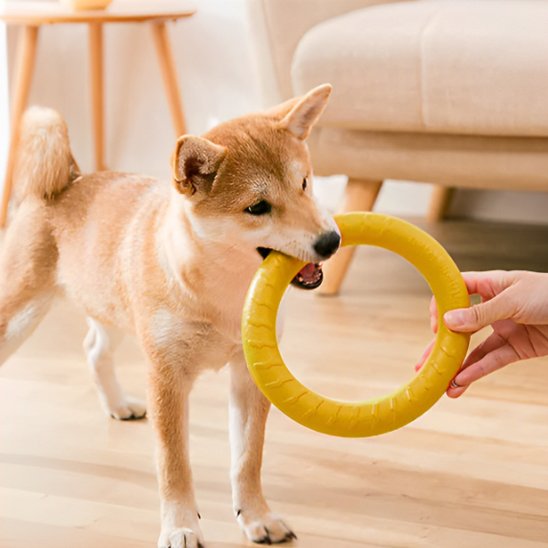 Jouet pour chien RingoDog jaune polyvalant