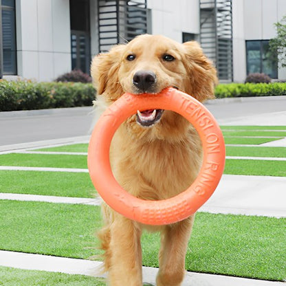 Jouet pour chien RingoDog orange souple et résistant