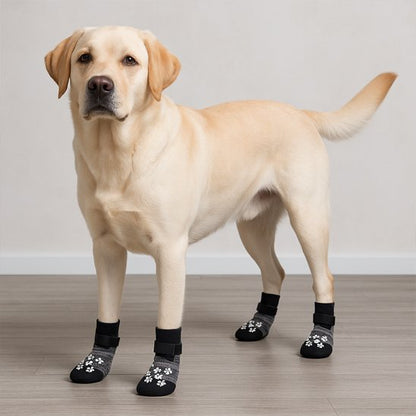 labrador avec Chaussettes pour chien noir motif pattes de chien