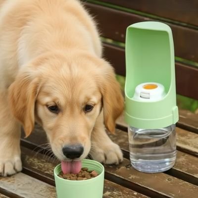 labrador blanc utilisant Gourde Chien verte légère pratique