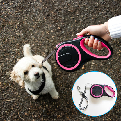 laisse à enrouleur pour chien rose avec caniche en balade 