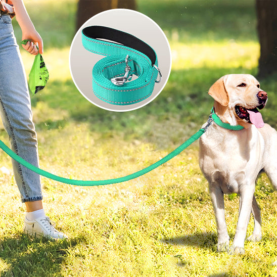 Laisse Chien | CaniKool™