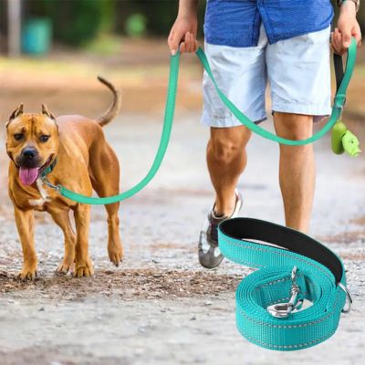 laisse-chien-bleue-cyan