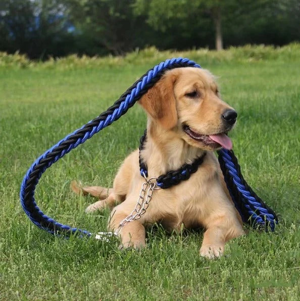 laisse-chien-corde-bleue-confortable-tressage-epais-dressleash