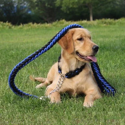 laisse-chien-corde-bleue-confortable-tressage-epais-dressleash
