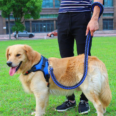 laisse-chien-corde-bleue-et-noire-tressage-epais-dressleash