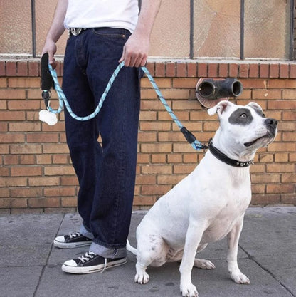 laisse-chien-corde-bleue-luminarowp