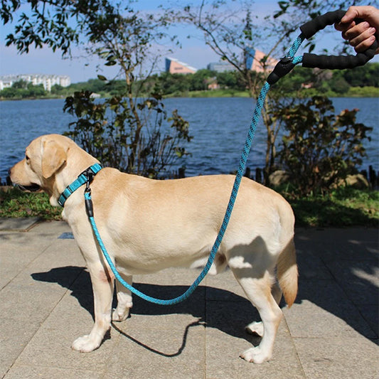 laisse-chien-corde-bleue-securite-max-poignee-ergonomique-epaisse-luminarowp