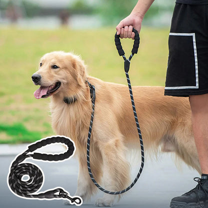Laisse Chien Corde | Luminarowp™