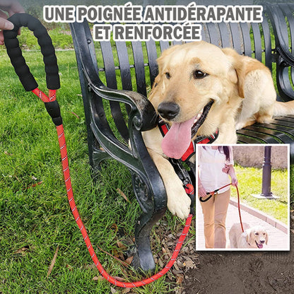 laisse-chien-corde-design-rouge