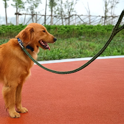 laisse-chien-corde-kaki-resistant-tressage-epais-dressleash