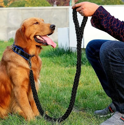 laisse-chien-corde-noire-design