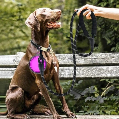 laisse-chien-corde-noire-elegante-poignee-ergonomique-epaisse-luminarowp
