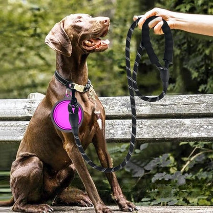 Laisse Chien Corde | Luminarowp™