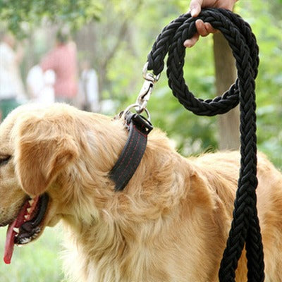laisse-chien-corde-noire