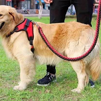 laisse-chien-corde-rouge-design