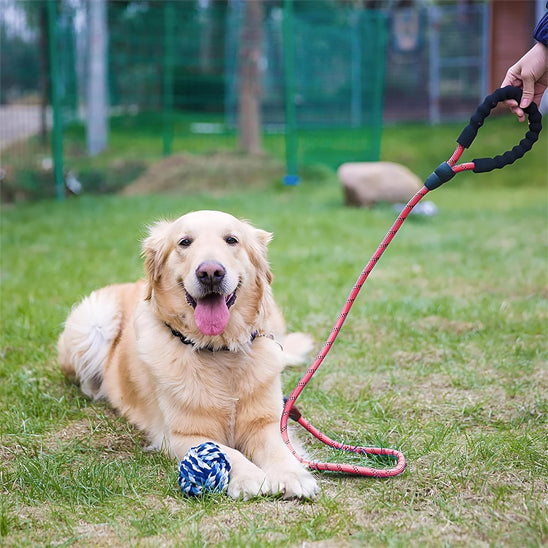 laisse-chien-corde-rouge-ultra-resistante-poignee-ergonomique-epaisse-luminarowp