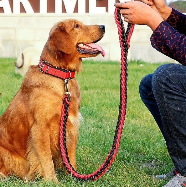  laisse-chien-corde-rouge