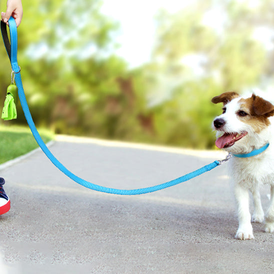 laisse-chien-couleur-tendance-bleue-canikool
